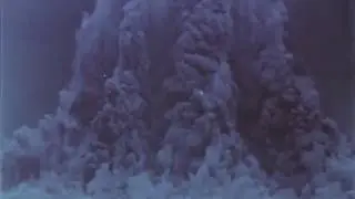 Полигон / Апокалипсис