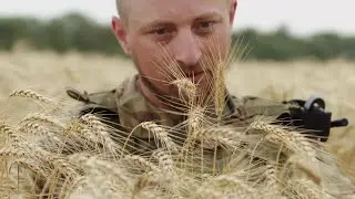 Ксенія Кобалія "Світанок"