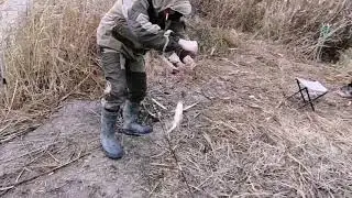 закрытие осенний рыбалки, улетный результат
