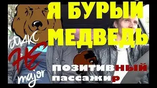 Пассажир такси орёт песню - я бурый медведь