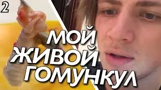 МОЙ ЖИВОЙ ГОМУНКУЛ #2 (20 дней) / Андрей Мартыненко
