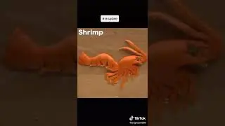Вот это дааа! 👍😲👏