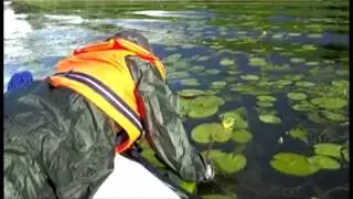Тебе... посвящается))