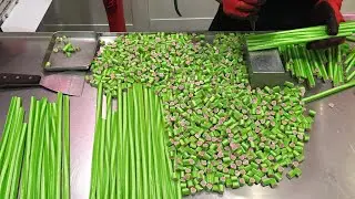 Watermelon Candy, Candy Making, How Candy Is Made