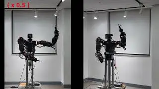 RoK-Arm9: DDP based back hand motion experiment