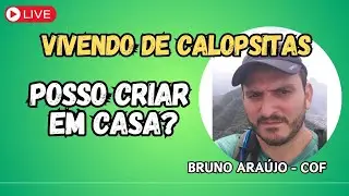 POSSO CRIAR EM CASA ? LEGISLAÇÃO - VIVENDO DE CALOPSITAS