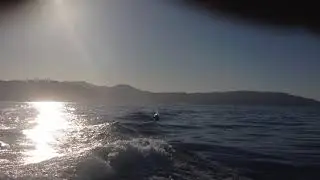 IMG 0305 2016.