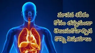 మానవ శరీరం గురించి మీకు తెలియని కొన్ని ఆశ్చర్యకరమైన విషయాలు