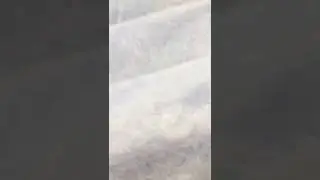 Новая маска, а кто тут ползает 🤔