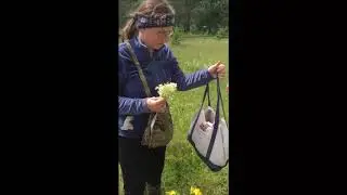 youtube собрали лек травы