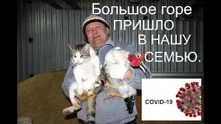 I AM FIGHTING WITH THE FARM ALONE. Thank God everything turned out well, Lida got over the illnes...