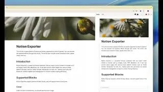 How to export notion page to pdf using Notion Exporter