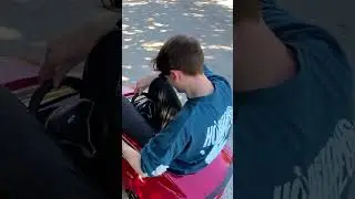 The $600 tesla