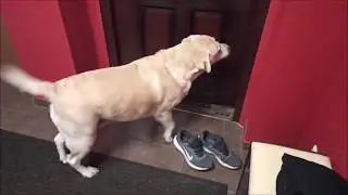 Снова Вика пришла!