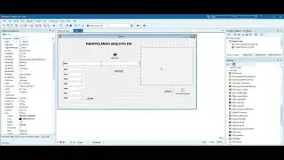MANIPULANDO ARQUIVO INI - DELPHI 10.3