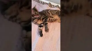 :(