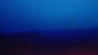 ødyzon - you're not here