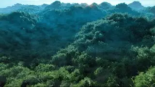 Realistic Trees and make a forest from landscape BLENDER 2.83