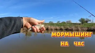 Мормышинг на час .