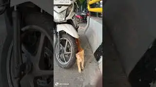 Oyeennnn ayo sini ikut ibu 😁😁