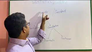 What is “Variable” and “Constant”?