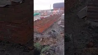 Когда любишь свою работу