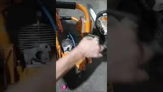 pro-yral