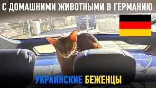 Беженцы в Германии. Можно ли с Домашними Животными ехать в Германию беженцам из Украины ?