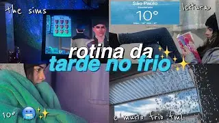 Afternoon routine ~ afternoon vlog with 10 degrees outside 🌨🥶💙
