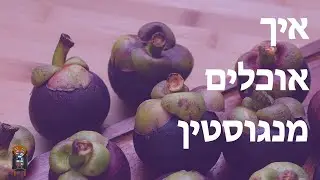 איך לבחור את מנגוסטין הטעים ביותר בתאילנד?