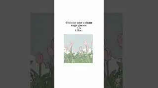choose one colour 