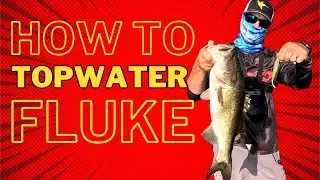 Mastering The Fluke: Topwater Bass Fishing Tips