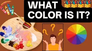 🎨 What Color Is It? | Fun Learning for Kids! 🎨