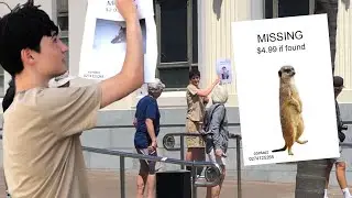 Posting FAKE Missing Posters Using Animals From Google!