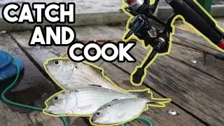 Crabbing n Fishing by the Beach(Sembawang) | Facepalmfishing