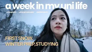 A Realistic Week as a Student in the Netherlands | first snow, winter-prep, late night study