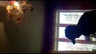 Клип одного разу під полтавою