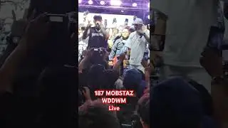 187 MOBSTAZ