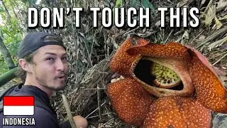 WE FOUND The WORLD’S LARGEST FLOWER In INDONESIA [Episode 17]