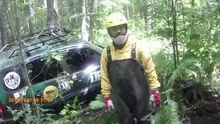 Первые точки