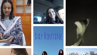 My Daily Routine
