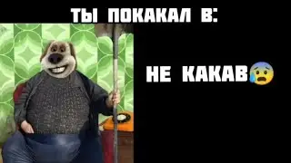ты покакал в: