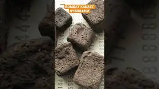 Вомбат какает кубиками 😳🙂