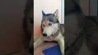 Десантник и фонтан .
