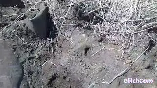 Коп металла на свалке с Т 90