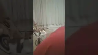 Бу!