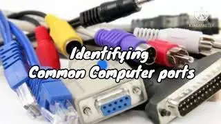 Ports and Connectors | Infographics