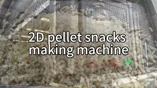 how to make the 2D pellet snacks by using the pellet snacks making machine ?