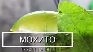 Homemade Cocktail Mojito Recipe