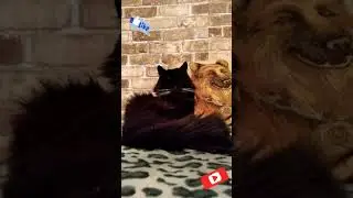 Всем Доброе утро)